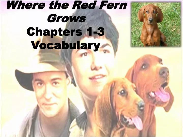 where the red fern grows chapters 1 3 vocabulary