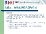 实验三、植物组织的类型与特征 - slide 1