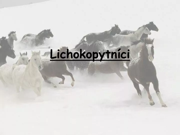 lichokopytn ci