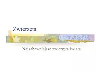 zwierz ta