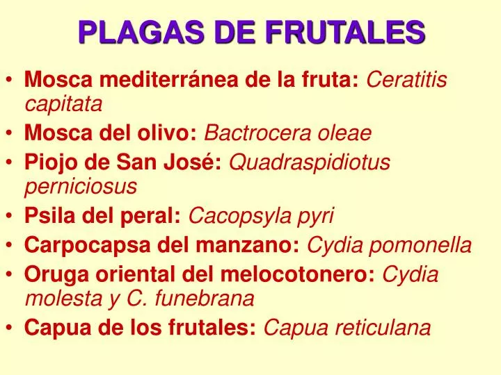 plagas de frutales