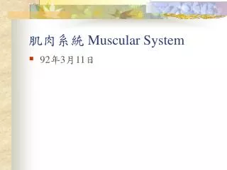 muscular system