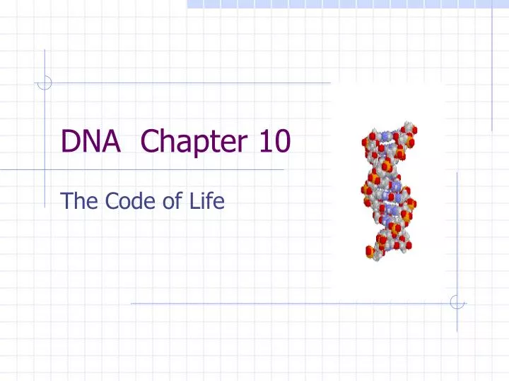dna chapter 10
