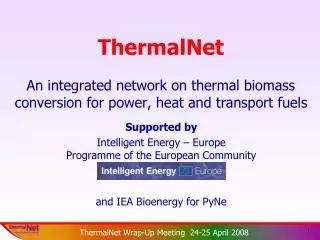 ThermalNet An integrated network on thermal biomass conversion for power, heat and transport fuels