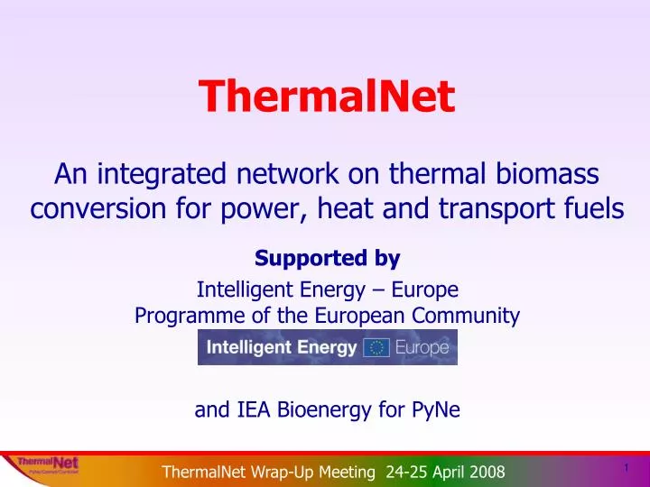 thermalnet an integrated network on thermal biomass conversion for power heat and transport fuels