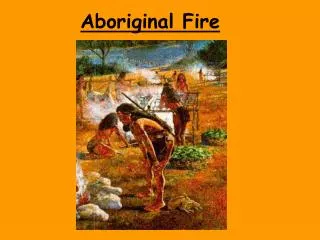 Aboriginal Fire