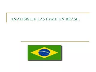 analisis de las pyme en brasil