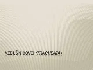 vzdu nicovci tracheata