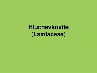 hluchavkovit lamiaceae