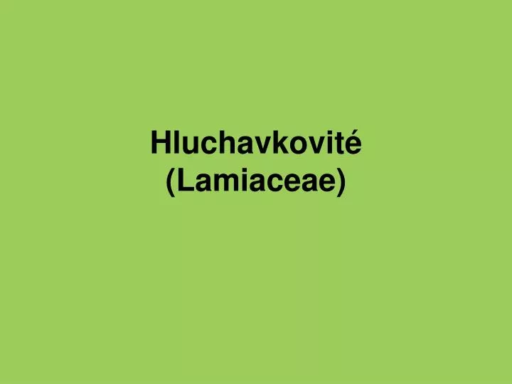 hluchavkovit lamiaceae