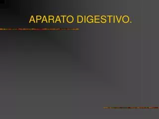 aparato digestivo