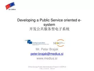 developing a public service oriented e system