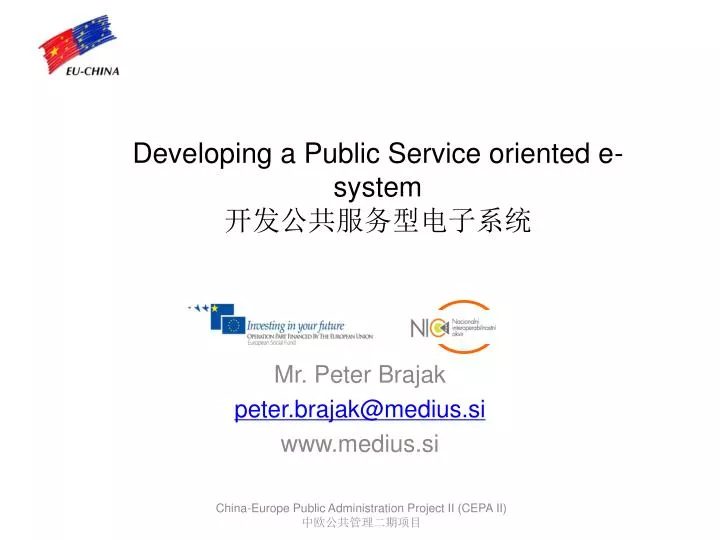 developing a public service oriented e system