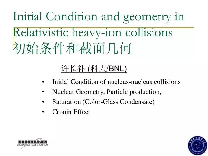 initial condition and geometry in relativistic heavy ion collisions