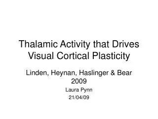 Thalamic Activity that Drives Visual Cortical Plasticity