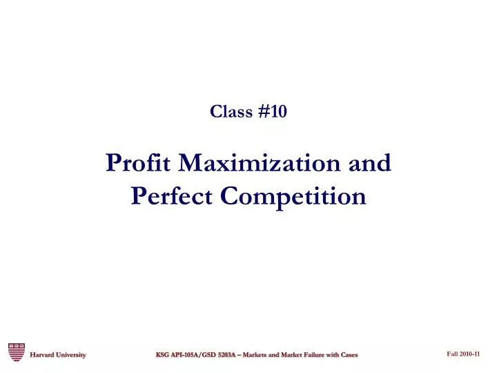 class 10 profit maximization and perfect competition