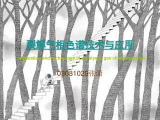 application and technology of pyrolysis gas chromatograph