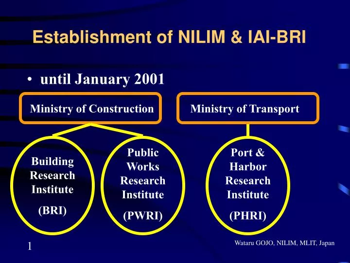 establishment of nilim iai bri