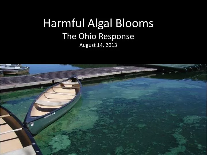 harmful algal blooms the ohio response august 14 2013