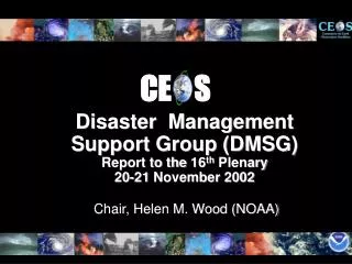 Disaster Management Support Group (DMSG) Report to the 16 th Plenary 20-21 November 2002