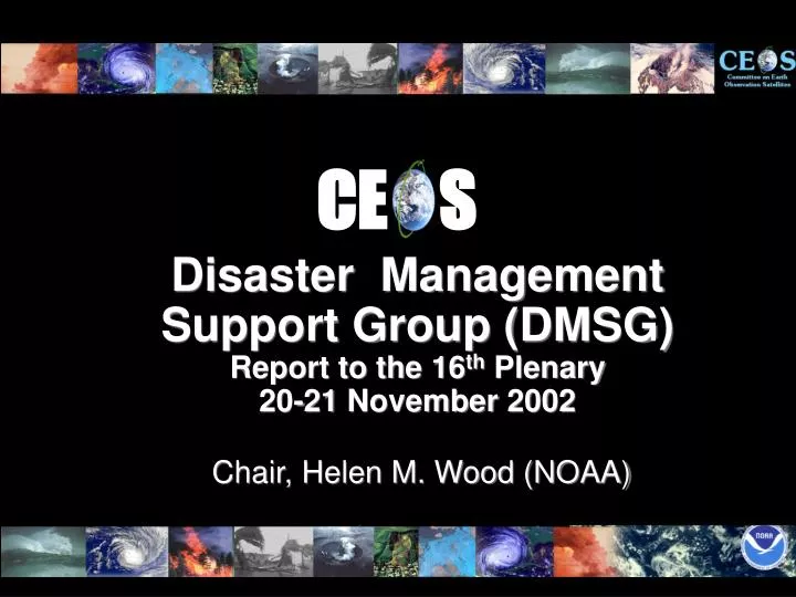 disaster management support group dmsg report to the 16 th plenary 20 21 november 2002