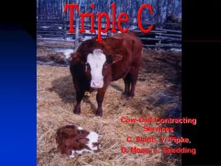 Cow-Calf Contracting Services C. Smith, V. Pipke, D. Moen, L. Spedding