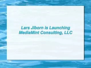 Lars Jiborn is Launching MediaMint Consulting, LLC