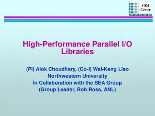 High-Performance Parallel I/O Libraries