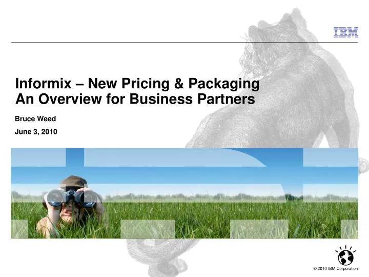 informix new pricing packaging an overview for business partners