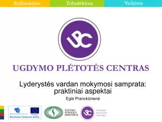 lyderyst s vardan mokymosi samprata praktiniai aspektai egl pranck nien
