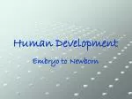 Human Development - slide 1