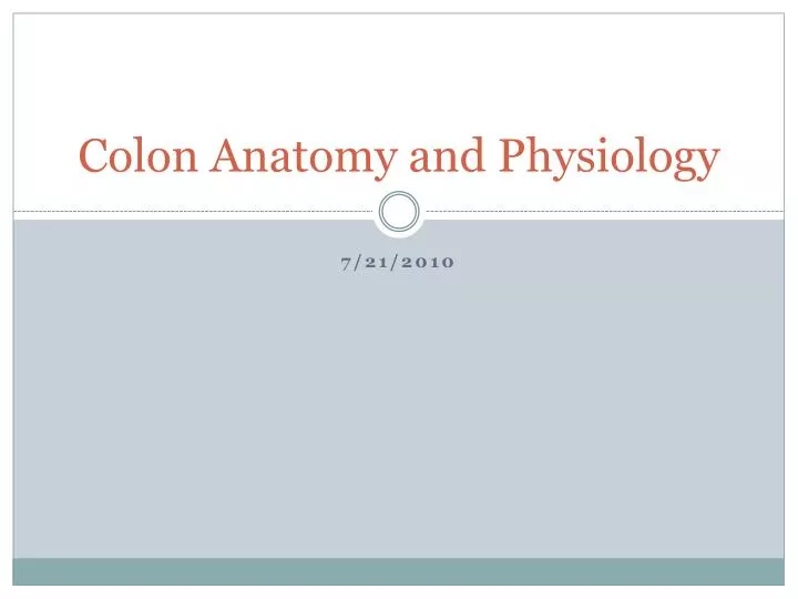 colon anatomy and physiology
