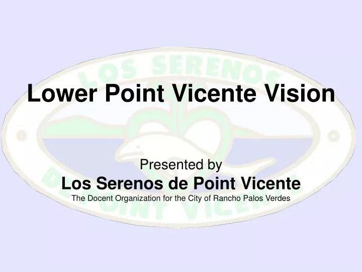 lower point vicente vision
