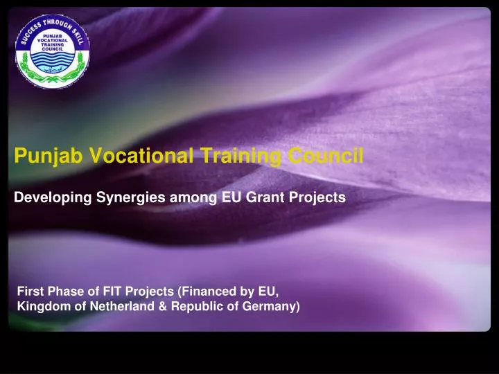 punjab vocational training council developing synergies among eu grant projects