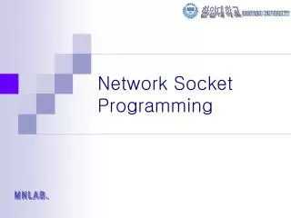 Network Socket Programming