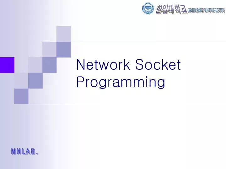 network socket programming