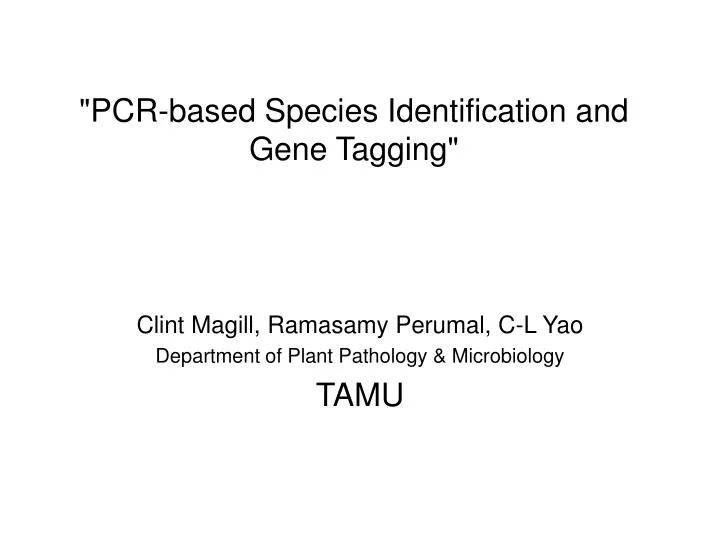 pcr based species identification and gene tagging