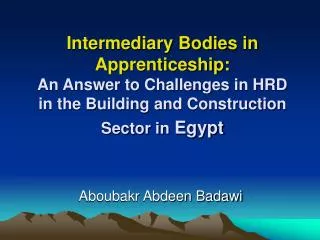 Aboubakr Abdeen Badawi