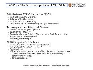 WP2.2 - Study of data paths on ECAL Slab