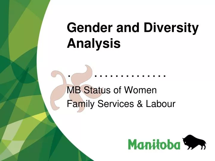 gender and diversity analysis