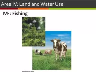 Area IV: Land and Water Use