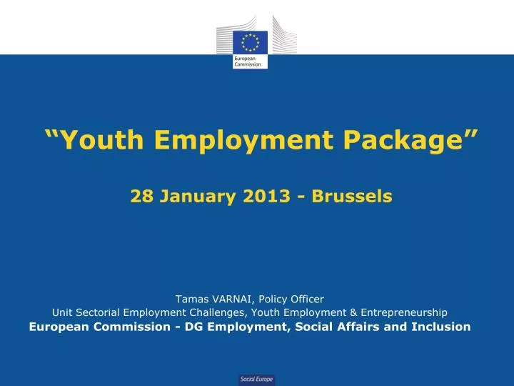 youth employment package 28 january 2013 brussels