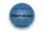 Gene Regulation - slide 1