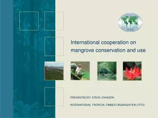 INTERNATIONAL TROPICAL TIMBER ORGANIZATION (ITTO)