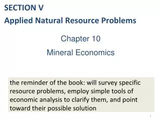 Chapter 10 Mineral Economics