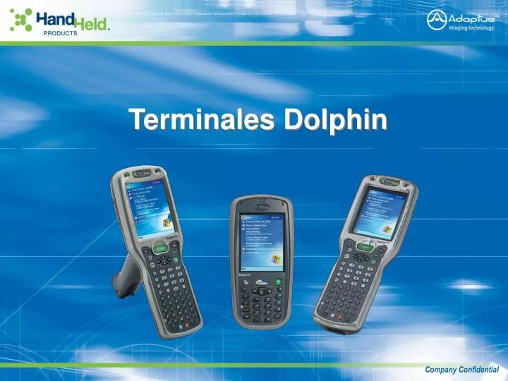 terminales dolphin