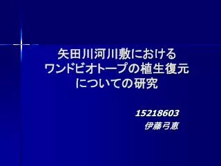 15218603