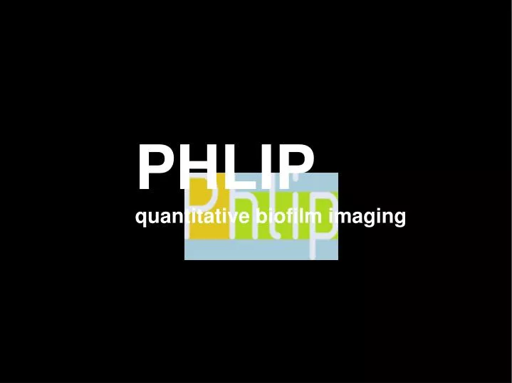 phlip quantitative biofilm imaging