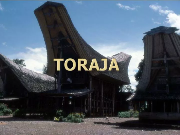 toraja