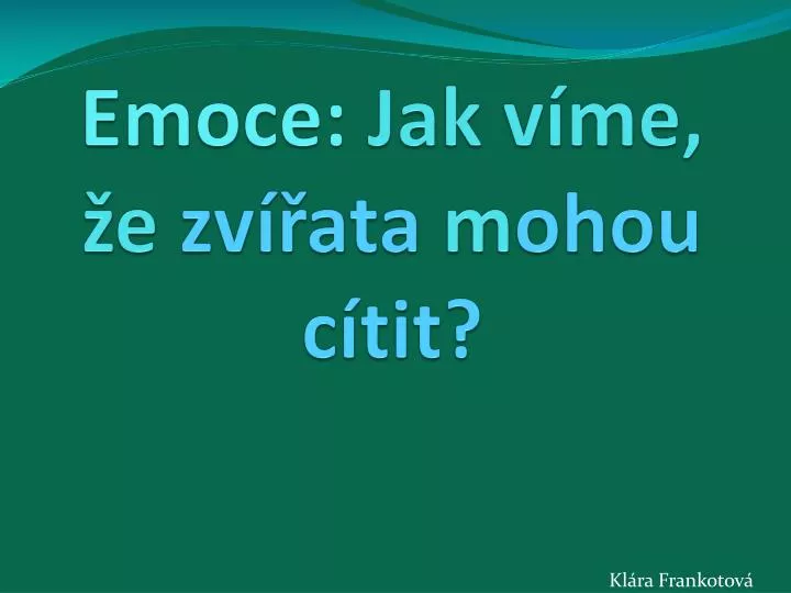 emoce jak v me e zv ata m ohou c tit